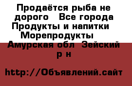 Продаётся рыба не дорого - Все города Продукты и напитки » Морепродукты   . Амурская обл.,Зейский р-н